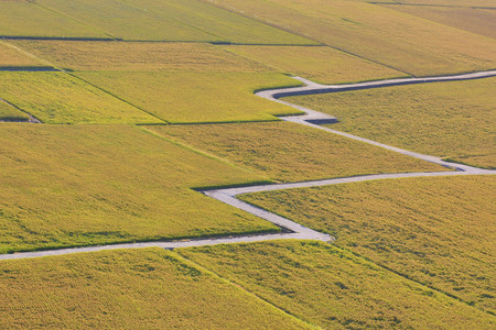 Beautiful country scenery of rice paddy in autumn, country roads winding through the rice field
