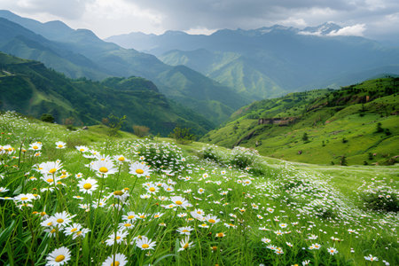 Experience the serene beauty of green highland hills adorned with white daisies, creating an idyllic scene and evoking a sense of peaceful serenity.の素材