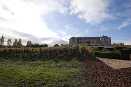 A vineyard estate with grape vines in the foregroundの写真素材