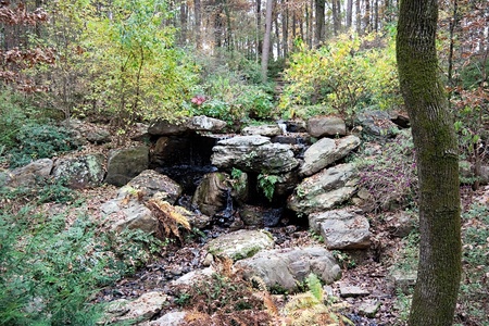 A small natural spring of water in a forestの写真素材