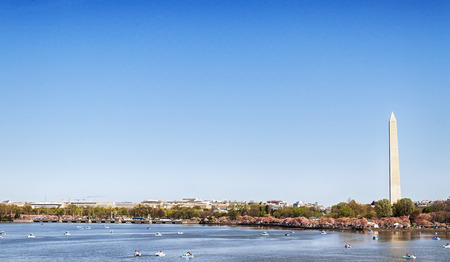 Washington Monument in Washington D.C. behind the Tidal Basinの写真素材