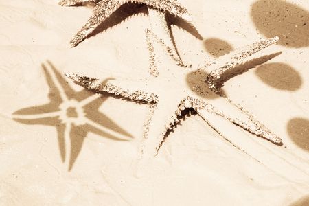 Sparkling starfish and ball shadows on the sand. Sepia tone. Vacation and sea concept.の写真素材