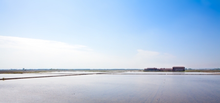Rice filed full of water. Rural image. Also perfect for growth and serenity concept.の写真素材