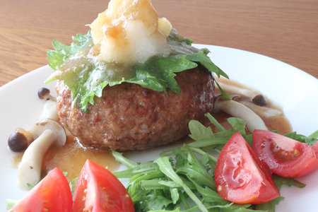 Japanese style hamburger steak with grated radishの写真素材