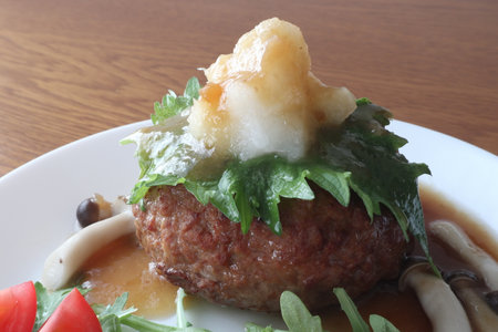 Japanese style hamburger steak with grated radishの写真素材