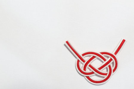 Japanese ornament with white background.