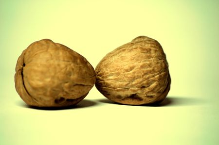 Nuttyの写真素材