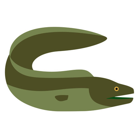 Isolated green eel on a white background, Vector illustration.