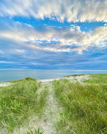 Baltic sea coast with dunes and sand dunes in summerの写真素材