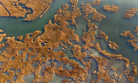 Aerial view of the Salt Flats in the Danube Delta, Romania