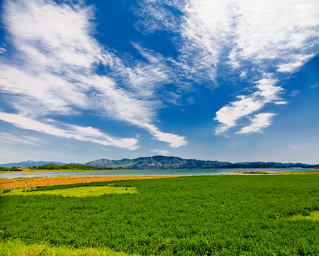 landscape of meadow, lake and blue sky white cloudの写真素材