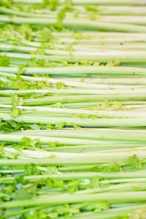 Close up of celery stalksの写真素材
