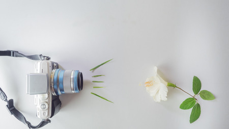 camera photograph beautiful flower on white background
