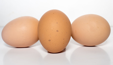 egg isolated on white backgroundの写真素材