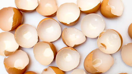 egg shell on white background