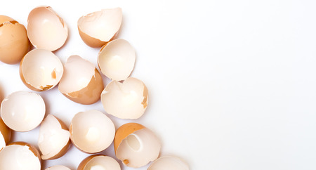 egg shell on white background copy spaceの写真素材