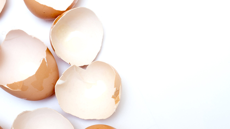 egg shell on white background copy space close upの写真素材