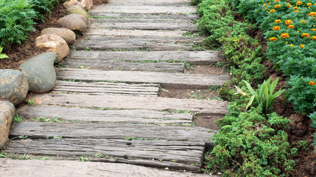 Wooden walkwayの写真素材