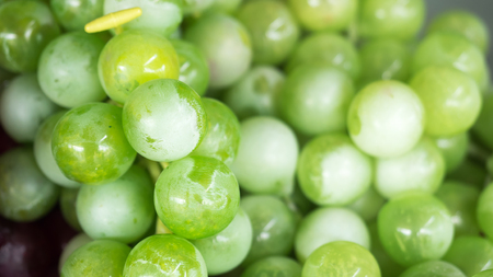 close up green grapeの写真素材