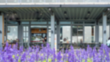 blur coffee shop flower purple foregroundの写真素材