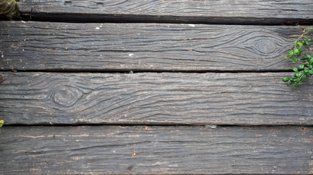 Wooden walkway in garden with green leaves top viewの写真素材