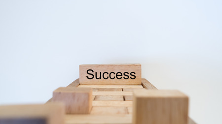 success word written on wood block on white backgroundの写真素材
