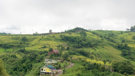 mountain in natureの写真素材