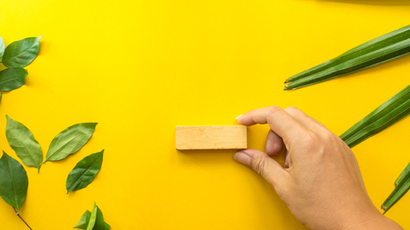 Leaves with handhold touch wood block on yellow background organic  concept desk table copyspaceの写真素材