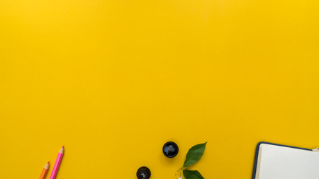 lens and leaves with crayon color pencil on yellow background business conceptの写真素材