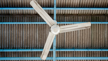 White ceiling fan