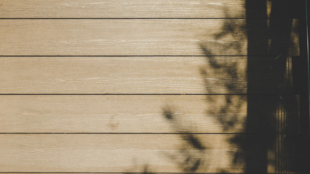 Shadow tree on the ground color style vintage
