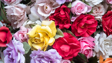 nature flower background