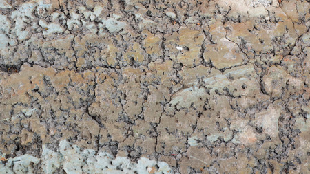 Stones texture and background. Rock textureの写真素材