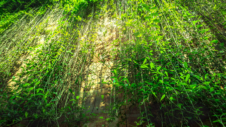 Climbers in nature are on the wall.の写真素材