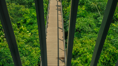 Natural wooden bridge in forest top view with Steel fence foregroundの写真素材