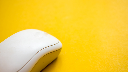 Mouse  close up on yellow background