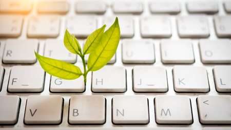 Leaves nature and keyboard.Small green plant growing from white computer keyboard.Technology with nature conceptの写真素材