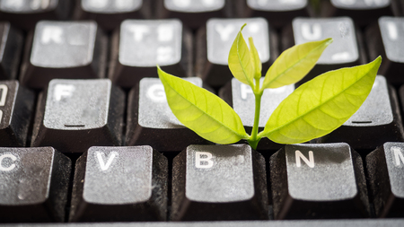 Leaves nature and black keyboard.Small green plant growing from white computer keyboard.Technology with nature conceptの写真素材
