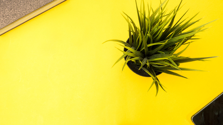 leaves and smart phone on yellow background business concept desk tableの写真素材