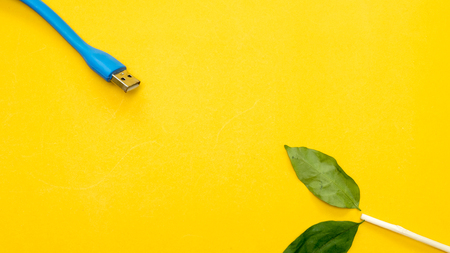 Flash drive and leaves on yellow background