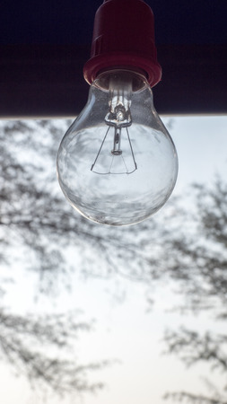 Light bulb close up nature backgroundの写真素材