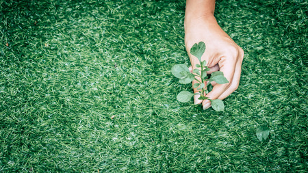 hand close up on white backgroundの写真素材