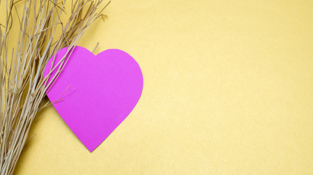 paper heart and 
branchの写真素材