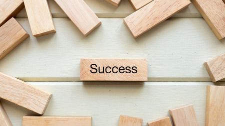 success word written on wood block close upの写真素材