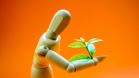 Wooden mannequin with a small green plant on its hands. Concept of human with nature, Orange backgroundの写真素材