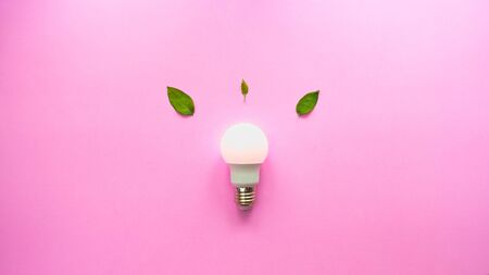 Bright light and leaves sign symbol zen and idea on pink backgroundの写真素材