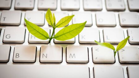 Leaves nature and keyboard. Small green plant growing from white computer keyboard. Technology with nature conceptの写真素材