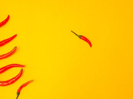 Group of chilli and with one individual pointing in the different way.の写真素材