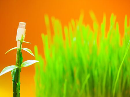 USB port and green nature yellow background.Technology to connect with nature concept