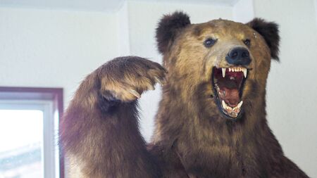 Big Bear statue close upの写真素材